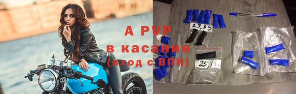 СК Медвежьегорск
