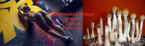СК Медвежьегорск