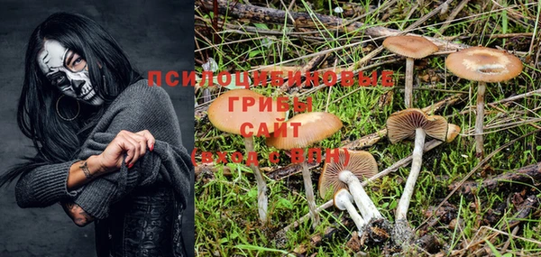 тгк Мегион